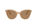Swarovski Sonnenbrille SK 6031 2002M4