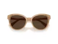 Swarovski Sonnenbrille SK 6031 2002M4