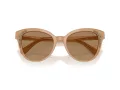 Swarovski Sonnenbrille SK 6031 2002M4