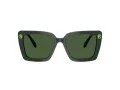 Swarovski Sonnenbrille SK 6032 102671
