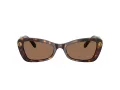 Swarovski Sonnenbrille SK 6033 100273