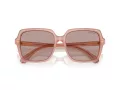 Swarovski Sonnenbrille SK 6034D 10257N