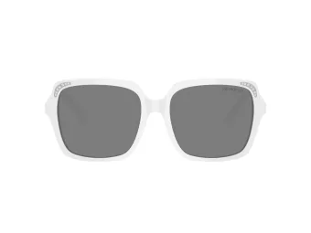 Swarovski Sonnenbrille SK 6034D 105087
