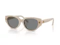 Swarovski Sonnenbrille SK 6035D 106887