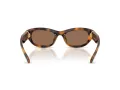Swarovski Sonnenbrille SK 6036U 100273