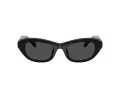 Swarovski Sonnenbrille SK 6036U 103887