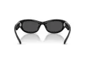 Swarovski Sonnenbrille SK 6036U 103887