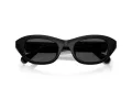 Swarovski Sonnenbrille SK 6036U 103887
