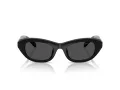 Swarovski Sonnenbrille SK 6036U 103887