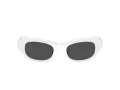 Swarovski Sonnenbrille SK 6036U 105087