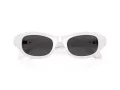 Swarovski Sonnenbrille SK 6036U 105087
