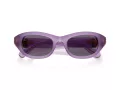 Swarovski Sonnenbrille SK 6036U 10751A