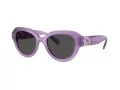 Swarovski Sonnenbrille SK 6037 107587
