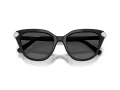 Swarovski Sonnenbrille SK 6039 100187