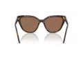 Swarovski Sonnenbrille SK 6039 100273