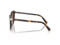Swarovski Sonnenbrille SK 6039 100273