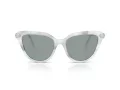 Swarovski Sonnenbrille SK 6039 1042/1