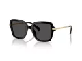 Swarovski Sonnenbrille SK 6040 100187
