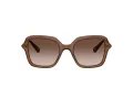 Swarovski Sonnenbrille SK 6040 106713