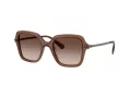 Swarovski Sonnenbrille SK 6040 106713