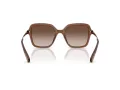 Swarovski Sonnenbrille SK 6040 106713