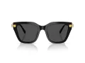 Swarovski Sonnenbrille SK 6041 100187