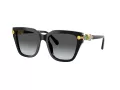 Swarovski Sonnenbrille SK 6041 1001T3