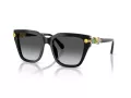 Swarovski Sonnenbrille SK 6041 1001T3
