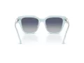 Swarovski Sonnenbrille SK 6041 10244L