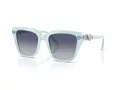 Swarovski Sonnenbrille SK 6041 10244L