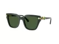 Swarovski Sonnenbrille SK 6041 102671