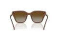 Swarovski Sonnenbrille SK 6041 1067T5