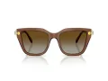 Swarovski Sonnenbrille SK 6041 1067T5