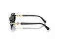 Swarovski Sonnenbrille SK 6042 100187