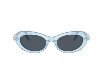 Swarovski Sonnenbrille SK 6042 107887