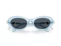 Swarovski Sonnenbrille SK 6042 107887