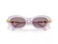 Swarovski Sonnenbrille SK 6042 1079LA