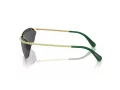 Swarovski Sonnenbrille SK 7001 400487