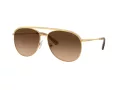 Swarovski Sonnenbrille SK 7005 400474