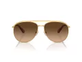 Swarovski Sonnenbrille SK 7005 400474