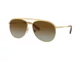 Swarovski Sonnenbrille SK 7005 4004T5