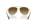 Swarovski Sonnenbrille SK 7005 4004T5