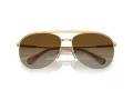 Swarovski Sonnenbrille SK 7005 4004T5