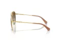 Swarovski Sonnenbrille SK 7005 4004T5
