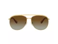 Swarovski Sonnenbrille SK 7005 4004T5