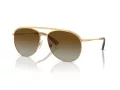 Swarovski Sonnenbrille SK 7005 4004T5