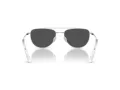 Swarovski Sonnenbrille SK 7007 400487