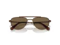 Swarovski Sonnenbrille SK 7007 401673