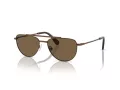 Swarovski Sonnenbrille SK 7007 401673