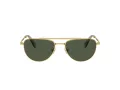 Swarovski Sonnenbrille SK 7007 401782